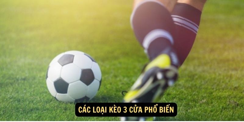 Kèo 3 cửa - Cơ hội chiến thắng gấp 3 lần 6 Các loại kèo 3 cửa phổ biến