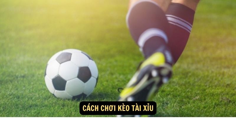 Hiểu về Kèo Tài Xỉu trong Cá Cược Bóng Đá 6 Cách Chơi Kèo Tài Xỉu