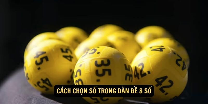 Dàn đề 8 số: Khái niệm và Cách Tính Toán Hiệu Quả 5 Cách Chọn Số trong Dàn Đề 8 Số