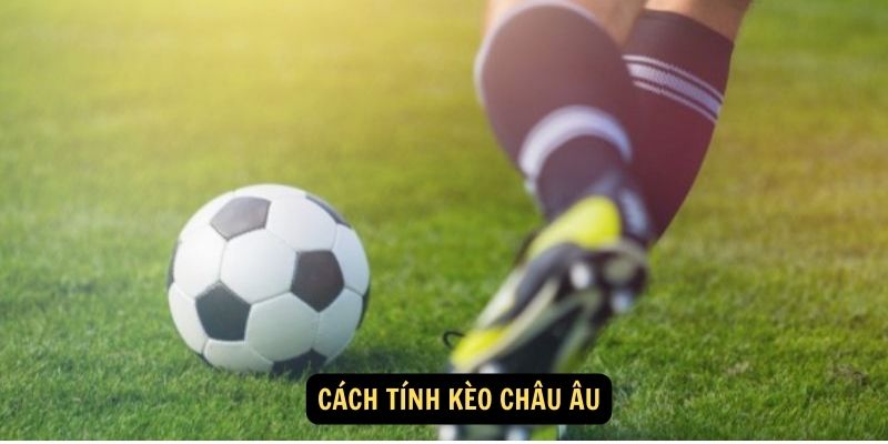 Kèo Châu Âu - Dự đoán đơn giản, ăn thưởng cao 6 Cách tính kèo châu Âu