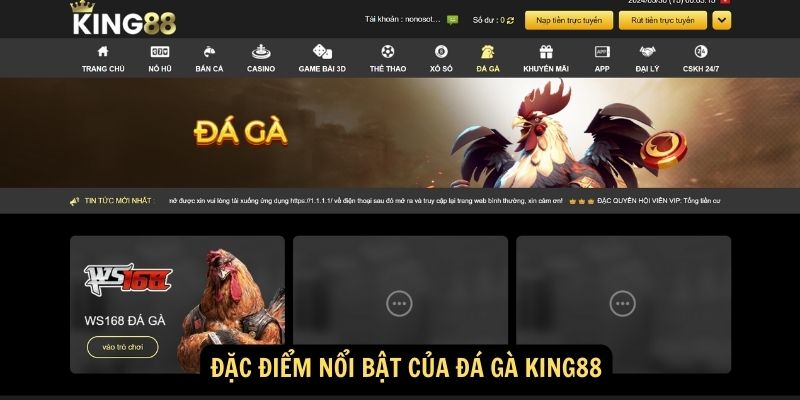 Đá gà King88: Nền tảng đá gà trực tuyến hàng đầu 5 Đặc điểm nổi bật của Đá gà King88