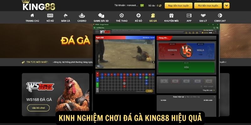 Đá gà King88: Nền tảng đá gà trực tuyến hàng đầu 6 Kinh nghiệm chơi Đá gà King88 hiệu quả